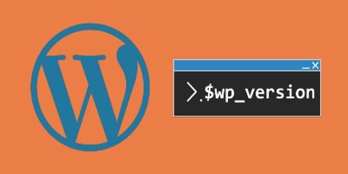 How To Check Which WordPress Version You Are Using
